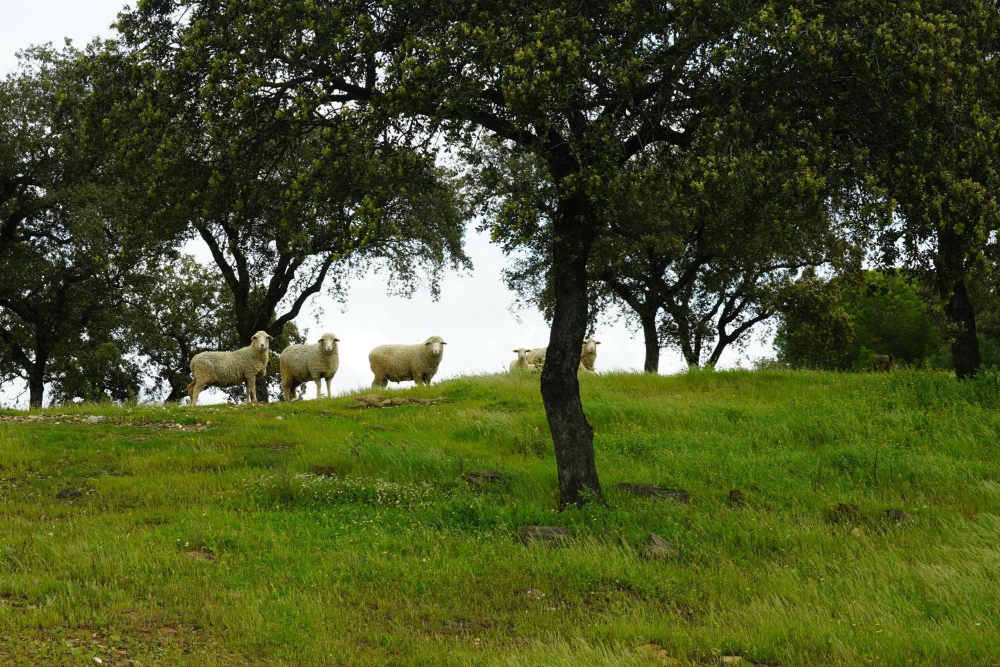Origen Andevalo Villa Calanas Bagian luar foto