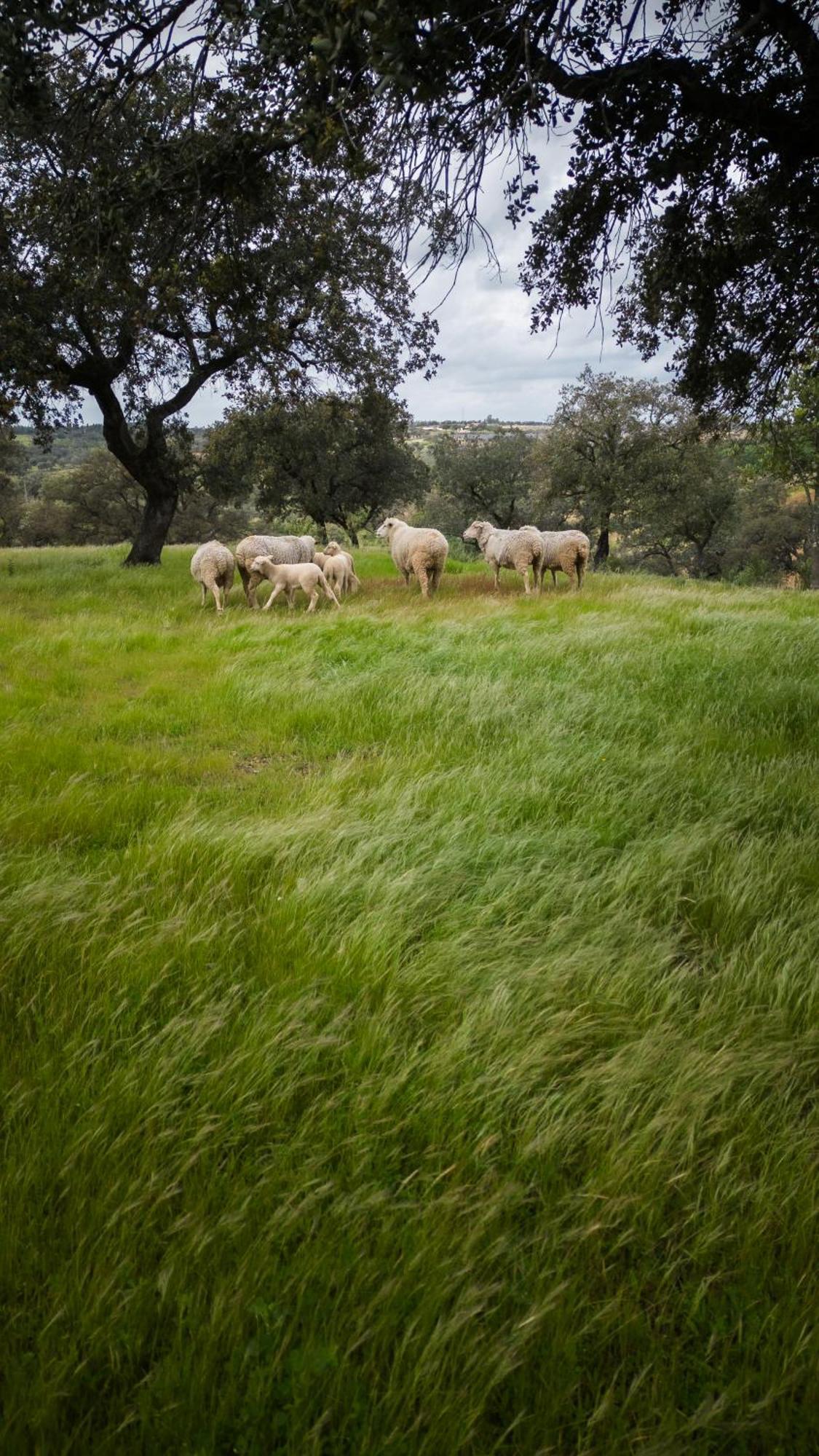 Origen Andevalo Villa Calanas Bagian luar foto